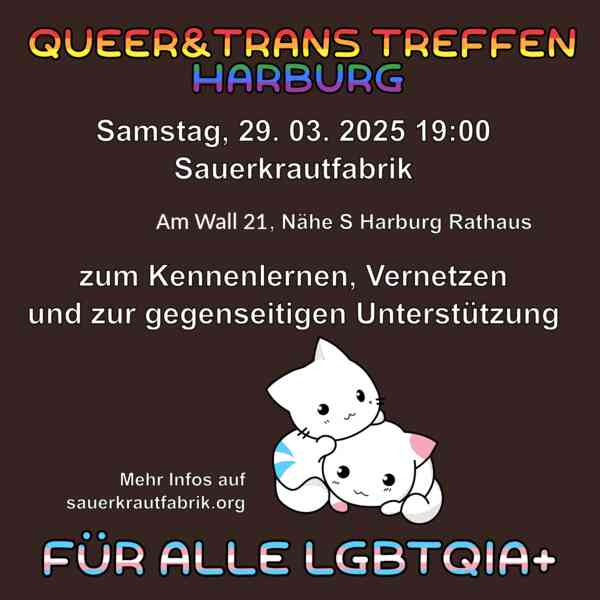 Sharepic mit zwei süßen Katzen