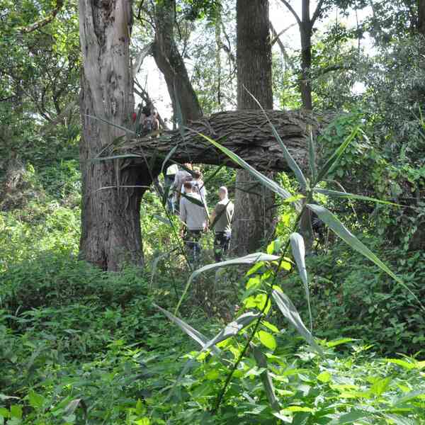 Mehrere Personen beim Spaziergang durch die Wildnis des Vollhöfner Waldes