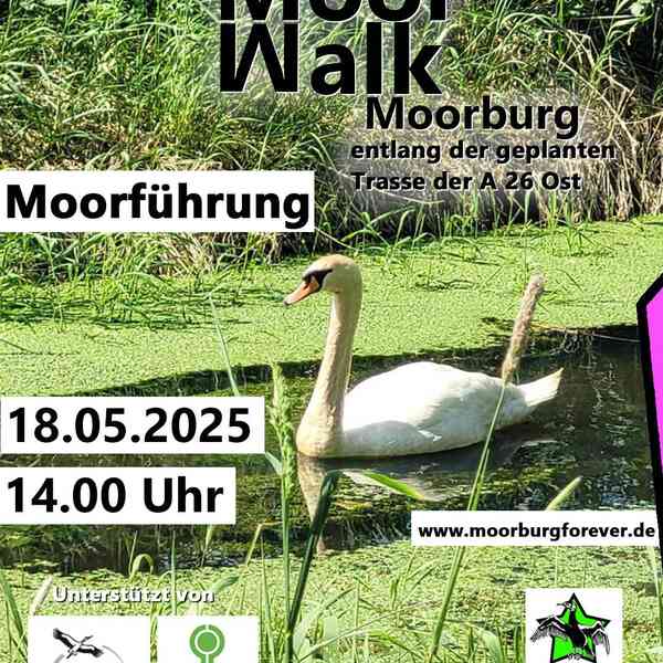 Text: Moor Walk (M und W stehen genau übereinander, als würden sie sich spiegeln), Moorburg, an der geplanten Trasse der A26Ost. Moorführung, 18.5.2025, 14 Uhr. www.moorburgforever.de. Unterstützt von NABU und BUND. Moorburg forever (jeweils die Logos). Treffpunkt: Moorburger Kirchdeich 63, Hamburg. Bild: Ein einzelner Schwan schwimmt auf einem Graben voller Entengrütze von rechts nach links. An beiden Grabenrändern hohes grünes Gras.