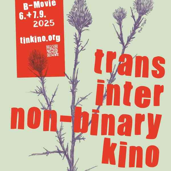 Plakat mit Text design. Im Hintergrund eine Distel. 