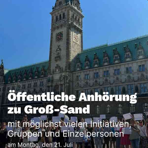 Das Hamburger Rathaus mit einer Gruppe protestierender menschen davor.