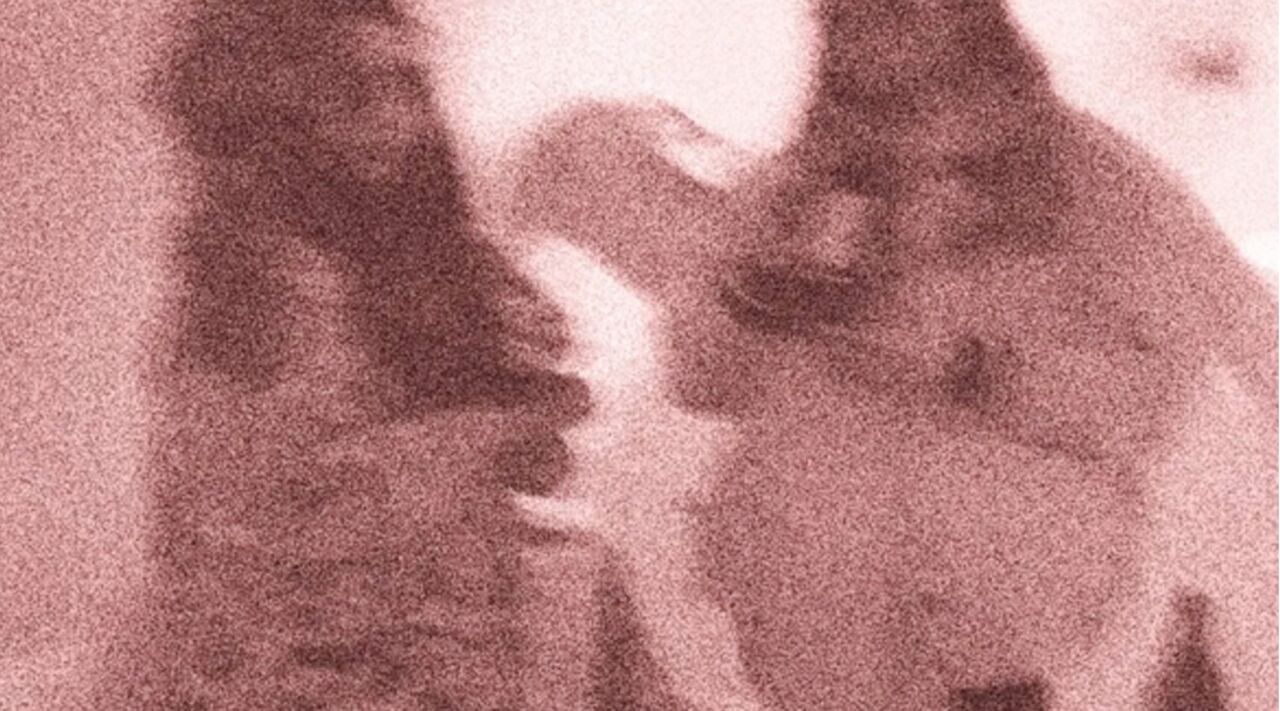 Das Bild ist in einem warmen, rötlich-braunen Farbton gehalten und wirkt etwas verschwommen oder körnig. Es zeigt zwei undeutliche, organisch wirkende Formen, die sich in der oberen Hälfte des Bildes befinden. Die linke Form erscheint etwas größer und länglicher, mit einer angedeuteten, sanften Kurve. Die rechte Form ist etwas kleiner und runder. Es sieht so aus, als würden sich die beiden Formen nahekommen oder einander berühren, aber die Unschärfe macht es schwer, genaue Details zu erkennen. Der Hintergrund ist ebenfalls in ähnlichen Farbtönen gehalten, ohne klare Konturen oder definierte Objekte.
